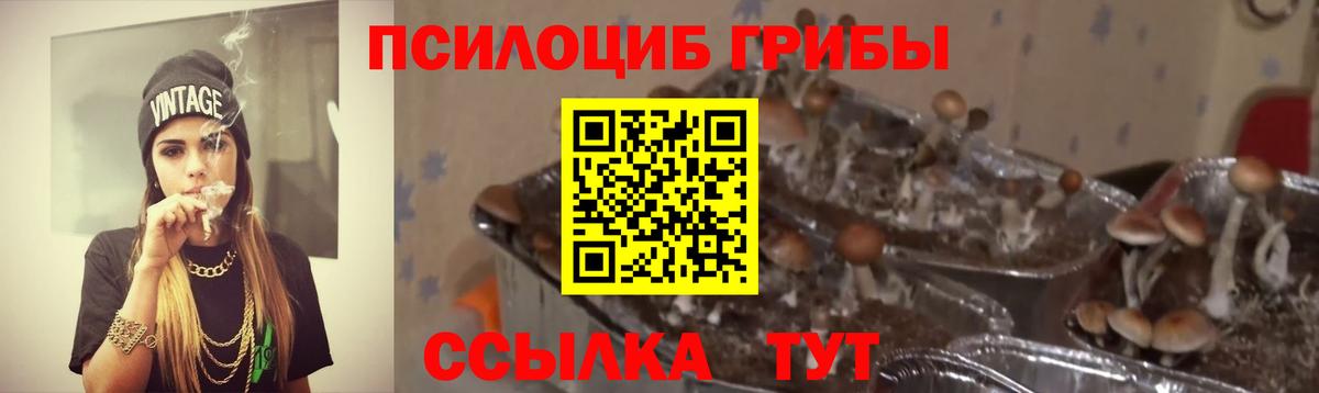 Мелеуз  Галлюциногенные грибы мицелий  Вход с VPN  Псилоцибиновые грибы прущие грибы 